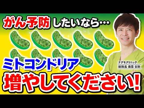 キヌア:カロリーと栄養価が一目でわかる 植物