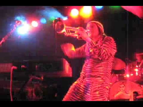 "Closet Disco Dancer" by Igor & The Red Elvises