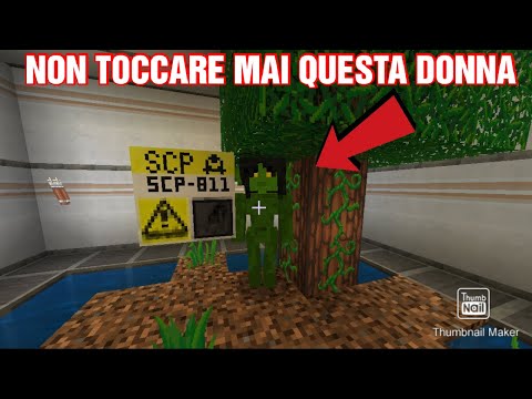 NON TOCCARE MAI QUESTA DONNA!!! MINECRAFT SCP 811