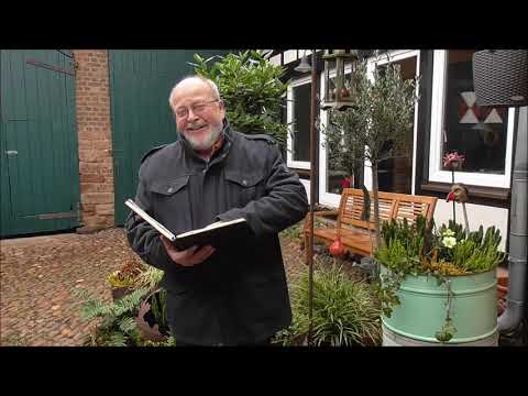 Manni kallt Platt: Kulturkritik