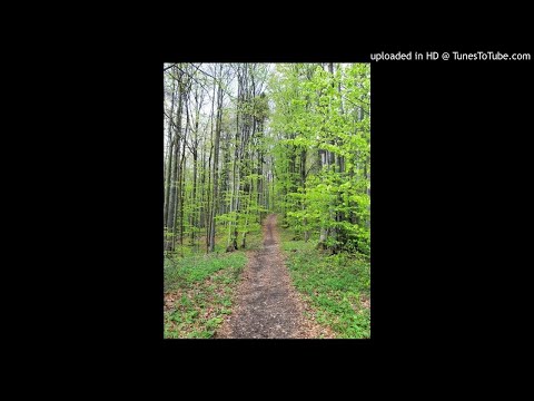 Mihajtoma - Patrze // 2019r.