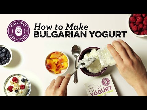 download lagu mp3 mp4 Yogurt Cultures For Sale South Africa, download lagu Yogurt Cultures For Sale South Africa gratis, unduh video klip Yogurt Cultures For Sale South Africa