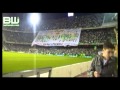 TIFO DE BETISWEB EN EL DERBI