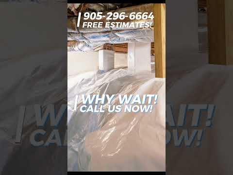 Repair your crawlspace now