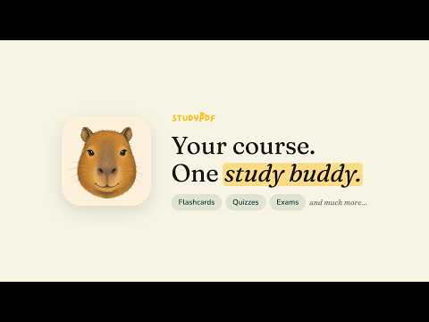 StudyPDF: Study with Bo video thumbnail