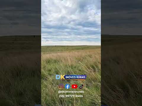 🧠 Invista com Inteligência no Rio Grande do Sul! 🚜🌾