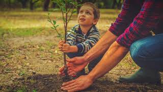 Reinhard Mey - Mein Apfelbäumchen