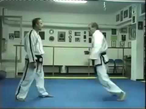 Master Vasilis Alexadris 8th Degree Taekwon-Do ITF Self Defence Part II