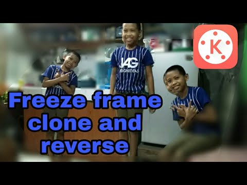 FREEZE FRAME CLONE AND REVERSE