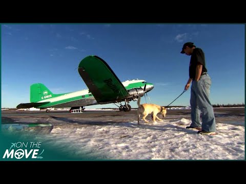 Arctic Cargo Flight Drama - Engine Failure, Fuel Crisis and Survival