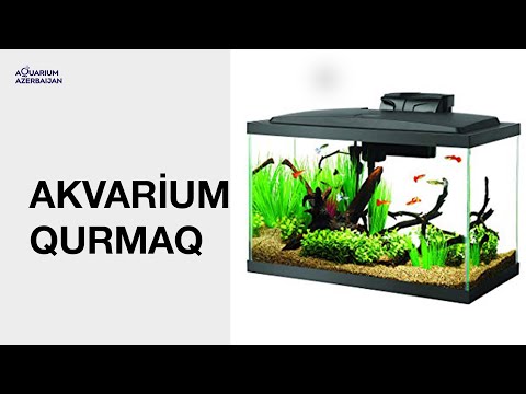 pinworm roundworm piranteltabletták amelyek ellen paraziták