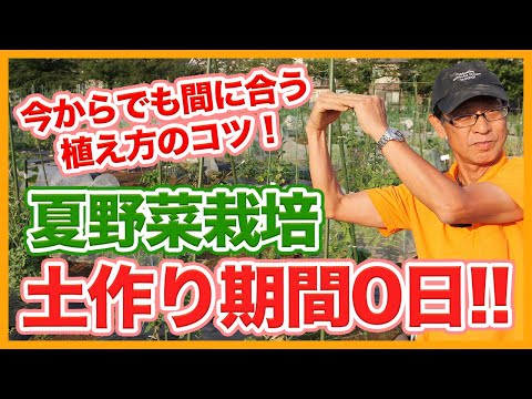 野菜の種まき：春の植え付けに備えて、今すぐ自宅で夏野菜を始めましょう！  庭園