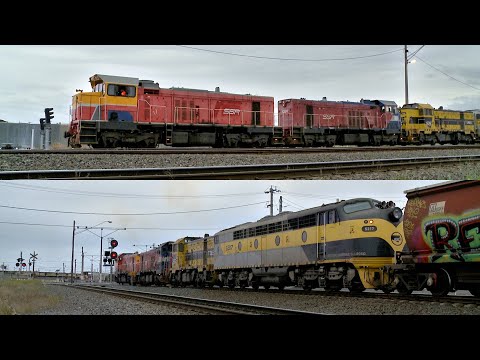 9198 Broad Gauge SSR Grain Train (19/11/2021) - PoathTV Australian EMD Diesel Locomotives & Railways