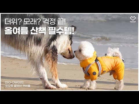 강아지 여름휴가 준비 끝! 쏘오옥 쿨메쉬 커버롤🐶❄