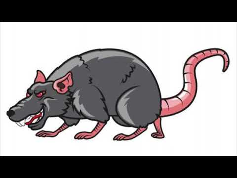 seguecia das mais tocada no baile da Parobé dj piririm de Caxias