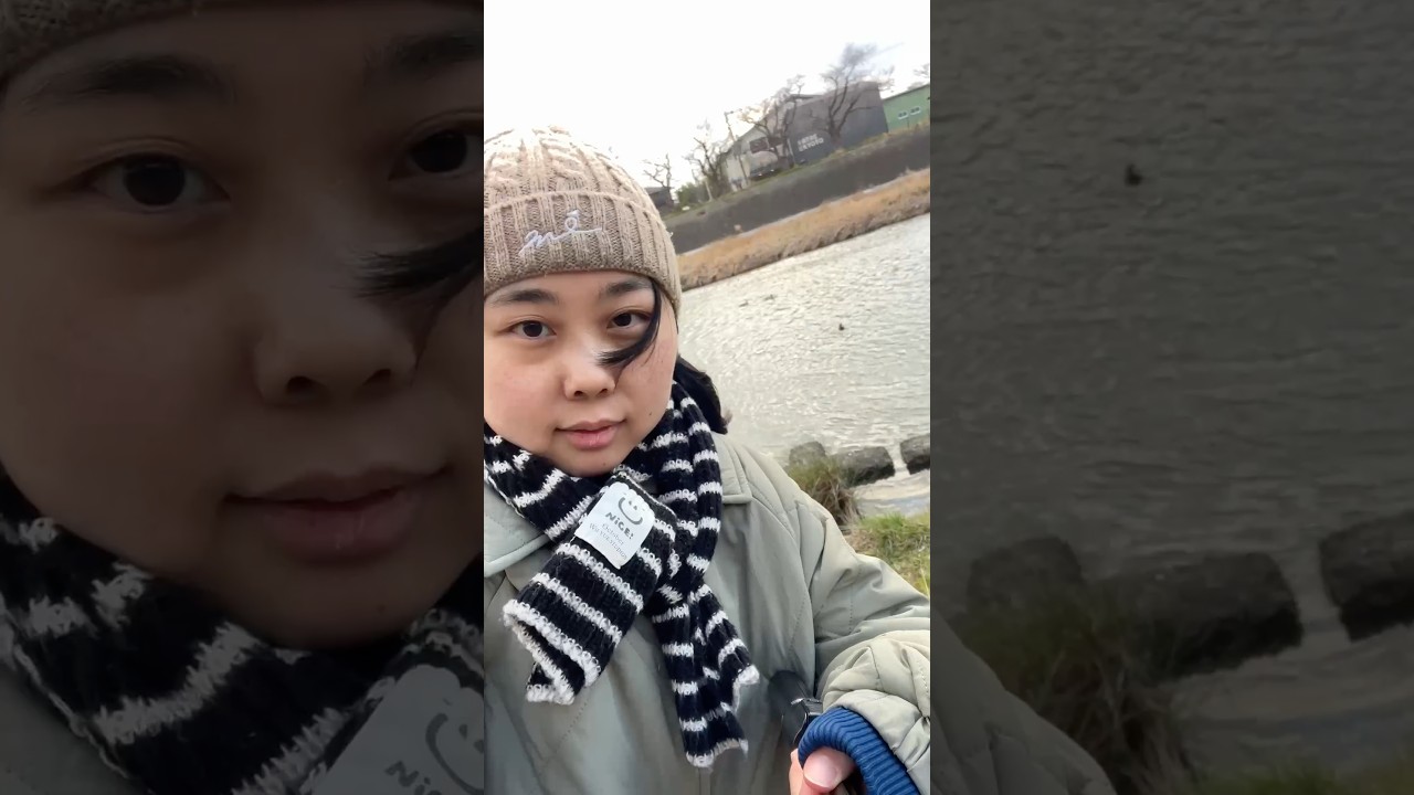 にじ。あひるさく　かものかわ