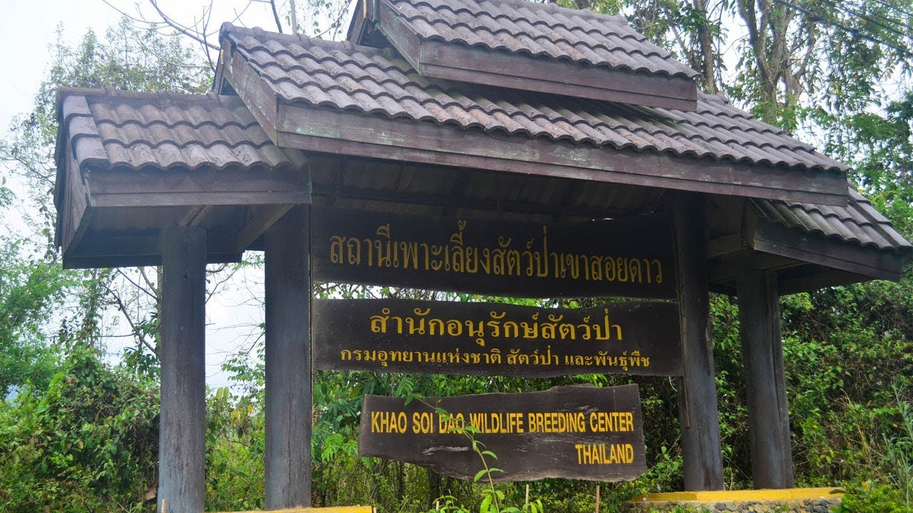 สถานีเพาะเลี้ยงสัตว์ป่าเขาสอยดาว