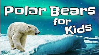 Polar Bears for Kids