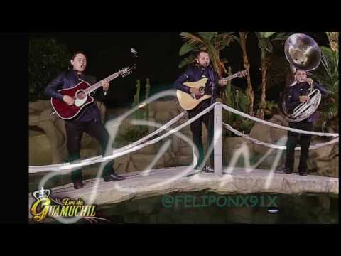 download lagu mp3 mp4 El Cholo De Guamuchil, download lagu El Cholo De Guamuchil gratis, unduh video klip El Cholo De Guamuchil