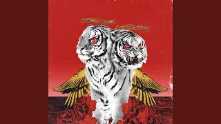 polyphia - Topic