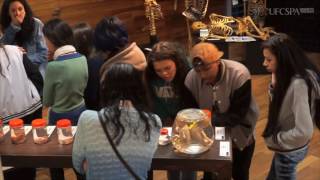 Museu de Anatomia 2016