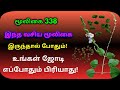 ஆடை ஒட்டி ஆடையொட்டி Priva Cordifolia Aadai Otti Adaiyotti அல�