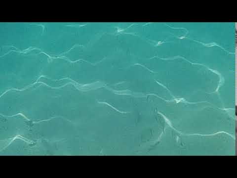 2020 0624 140956 005A