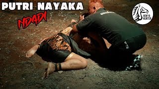 Download lagu Detik-detik Ndadi!! JATHILAN KUDHO NAYOKO BABAK PUTRI NAYAKA NDADI PART 1 Live Dadapan Berbah mp3