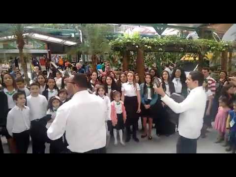 Maravilhoso és pra mim -Coral Preciosa Semente