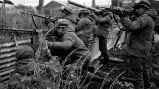 callejeros no volvieron mas