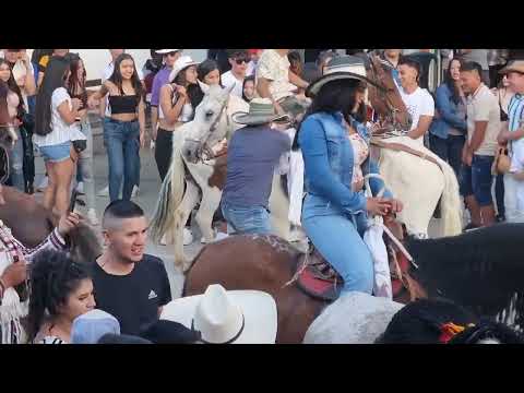 Gran #Cabalgata #FeriasyFiestas de #SanBernardoNariño excelentes #Ginetes, #PasoFino y #cultura 2024