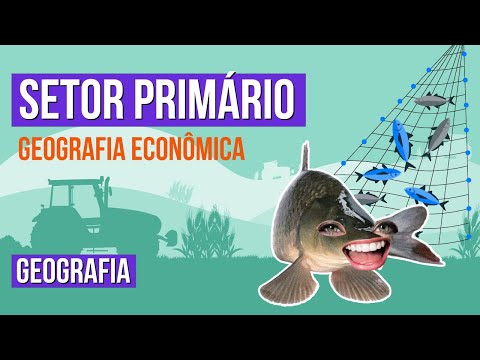 GEOGRAFIA ECONÔMICA: setor primário | Geografia para o Enem | Eduardo