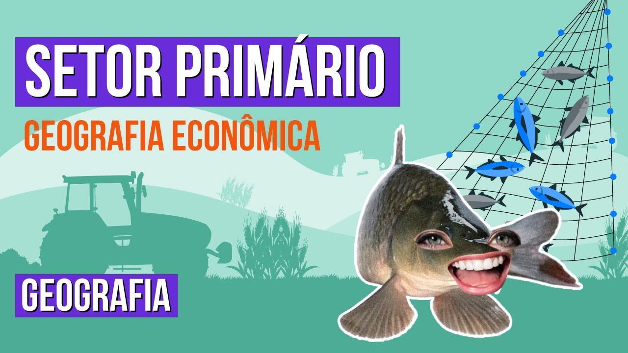GEOGRAFIA ECONÔMICA: setor primário | Geografia para o Enem | Eduardo