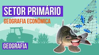 GEOGRAFIA ECONÔMICA: setor primário | Geografia para o Enem | Eduardo