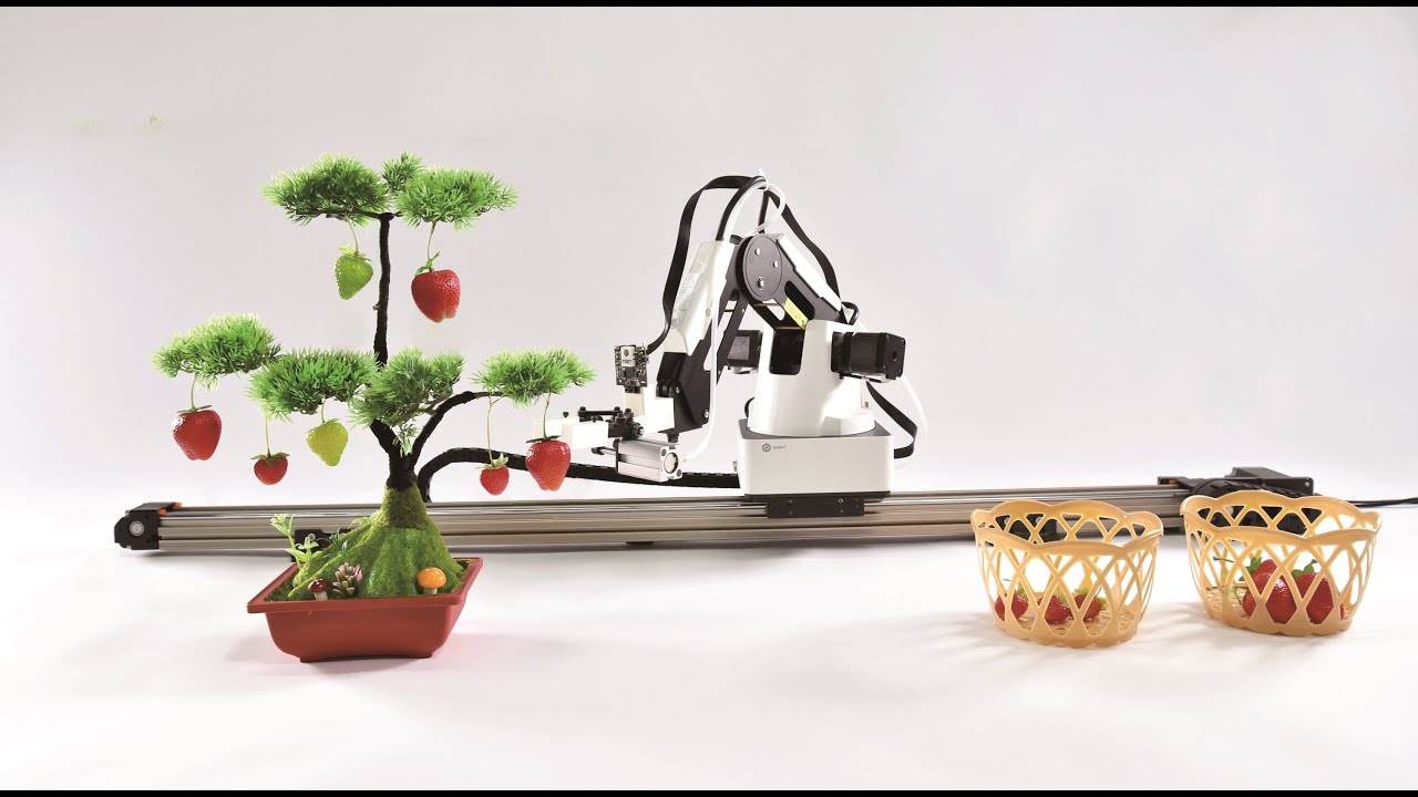 Fruit Picking Robot  |  AI Application Demo with Dobot Magician