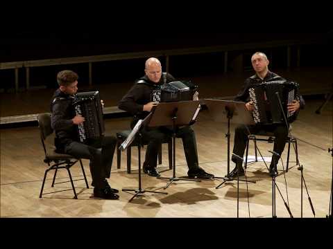 V. Zolotariov - Rondo Capriccioso (Yuri Shishkin & Harmonium Duo)