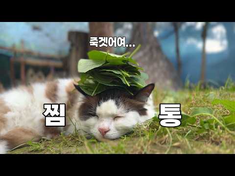 더워서 기절할 것 같아요.