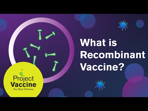 What is Recombinant Vaccine?