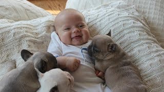 Animals Love Babies - Cute Babies &amp; Animals Compilation
