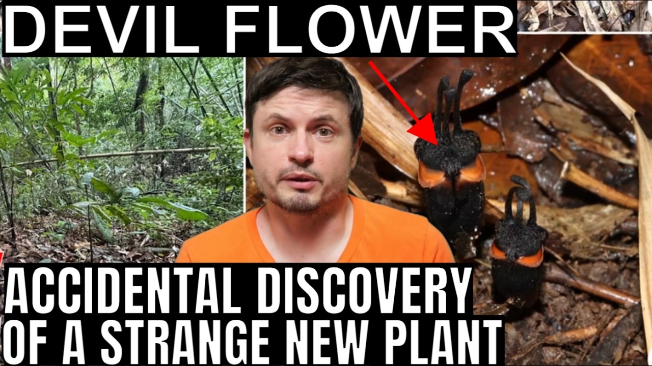 This Bizarre Devil Flower Breaks Basic Botanical Rules