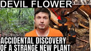 This Bizarre Devil Flower Breaks Basic Botanical Rules