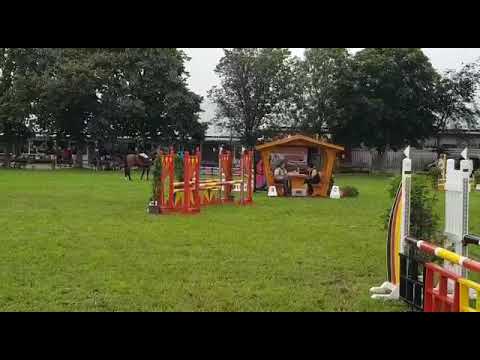 Lesandro Springpferde A* 7.6