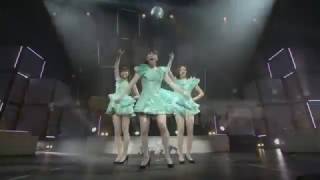 Perfume Chocolate Disco Live