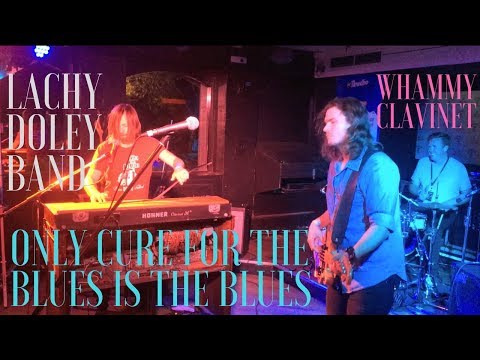 Lachy Doley - Only Cure for the Blues Is the Blues|Whammy Clavinet|Live Thredbo Blues Festival 2018