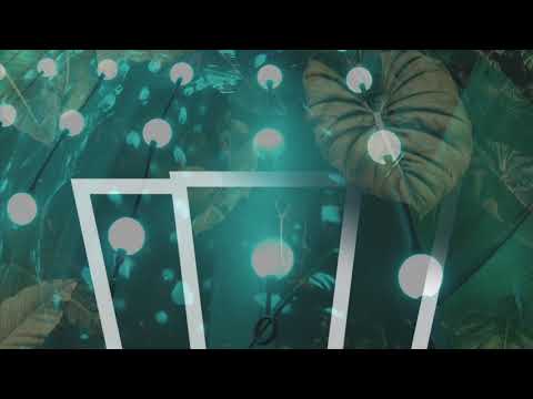 Nowosad | Patio SMOLNA - 02.02.2018