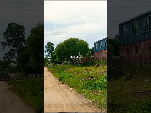 Tour 🚗 Parque del Plata, Canelones, Uruguay 🇺🇾