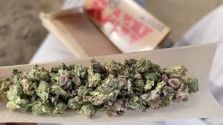 SMOKING A JOINT AT THE BEACH (Santa Monica Pier)