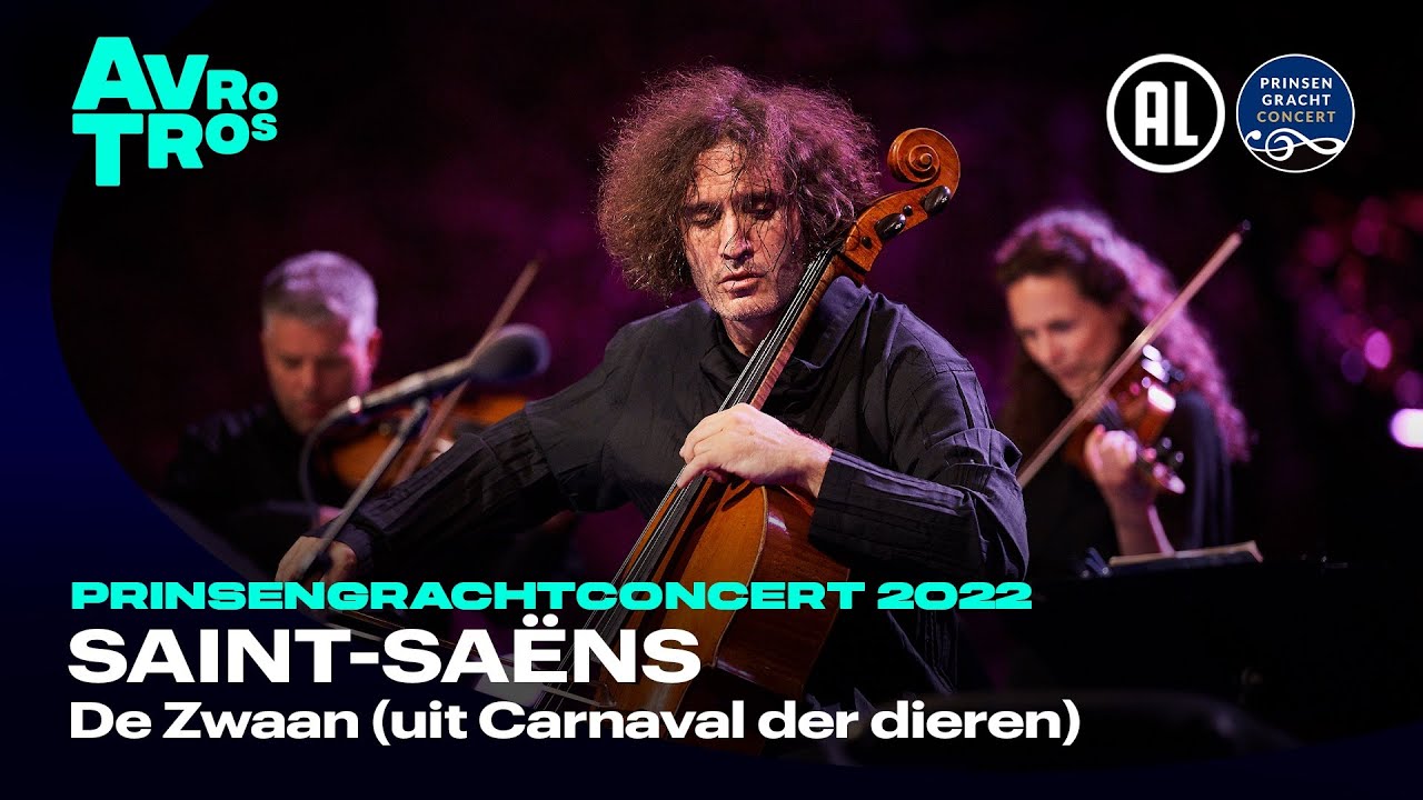 Saint-Saëns - The Swan