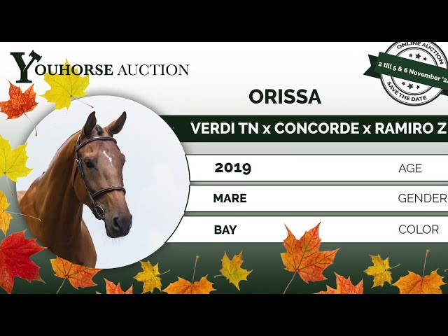 Orissa showvideo