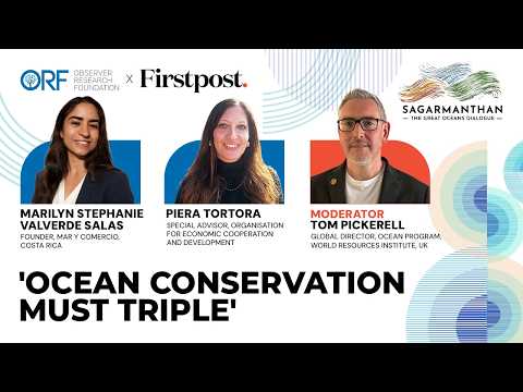 'Ocean Conservation Is in Crisis': Can the World Protect 30 ...